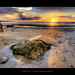 Fannie Keys Photo 1
