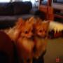 Jane Wong Photo 39