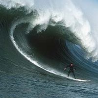 Mark Signor Photo 16