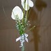 Julie Mcandrew Photo 19