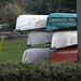 Bill Broach Photo 11