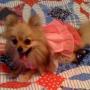 Cindy Day Photo 3