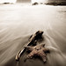 Ruby Beach Photo 8