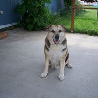 Shellie Silva Photo 12