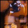 Jared Allen Photo 34
