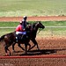 Anthony Downs Photo 23