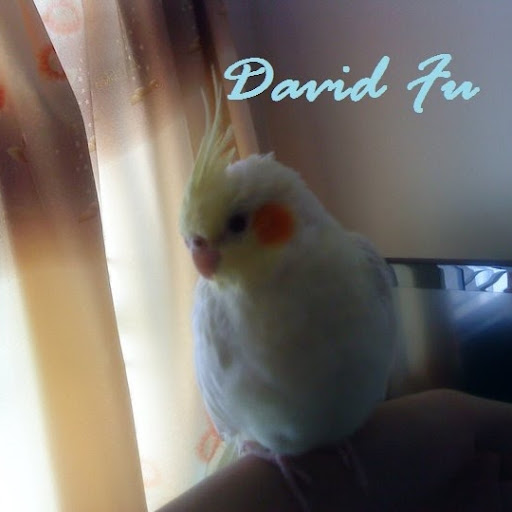 David Fu Photo 32