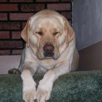 Tracy Ferrand Photo 2