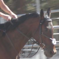 Debra Bunting Photo 19