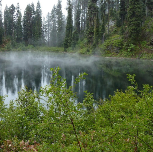 Howard Bell Photo 46