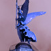 Victoria Friedrich Photo 11