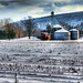 Carl Winters Photo 7