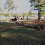 Susan Morris Photo 37