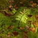 Dylan Hill Photo 27