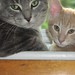 Ann Colbert Photo 13