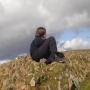 Josh Calvert Photo 23