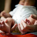 Alfred Cheng Photo 26
