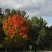 Joy Hines Photo 32