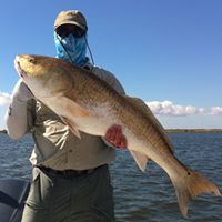 Jeff Stringer Photo 10