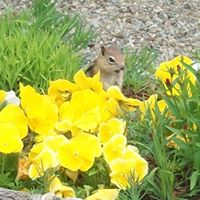 Janet Atkinson Photo 38