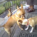 Ruby Kenny Photo 14