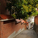 Man Yu Photo 23