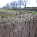 Kirk Fields Photo 19