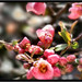 Jerry Bright Photo 8