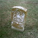 Phillip Webber Photo 16