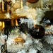 Carol Weiss Photo 13