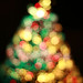 David Hoang Photo 15