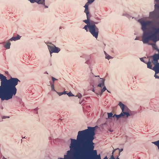 Amy Kirby Photo 42