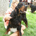 Cheryl Groves Photo 15