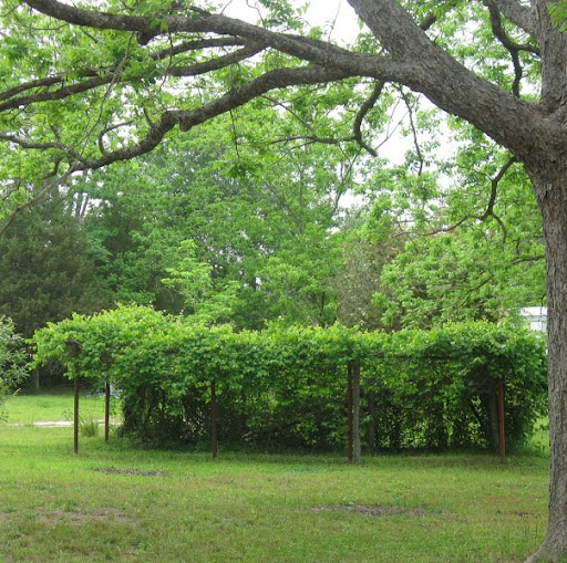 Katherine Phillips Photo 46