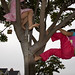 Kendra Garcia Photo 6