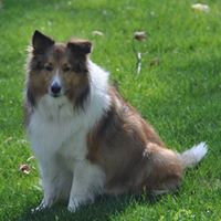 Ellen Gilman Photo 10