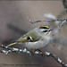 Troy Peck Photo 10