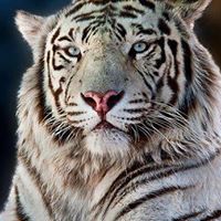 David Rhoades Photo 39