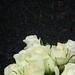 Hans Voss Photo 10