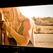 Suzanne Lancaster Photo 9