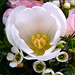 Joy Weiss Photo 29