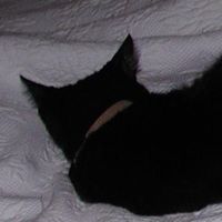Susan Jaggers Photo 11