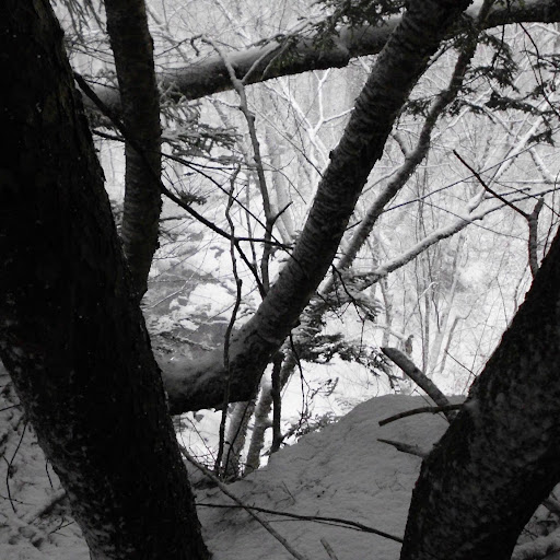 James Dunlap Photo 18
