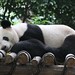 Kou Xiong Photo 37