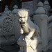 Ling Zhao Photo 22