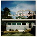 Cindy Foster Photo 6