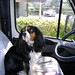 Charles Camper Photo 22