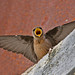 Martin Rocha Photo 10