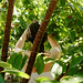Ellen Brach Photo 3