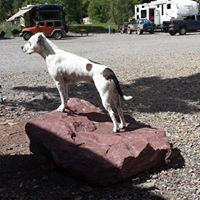 Robert Roberge Photo 10